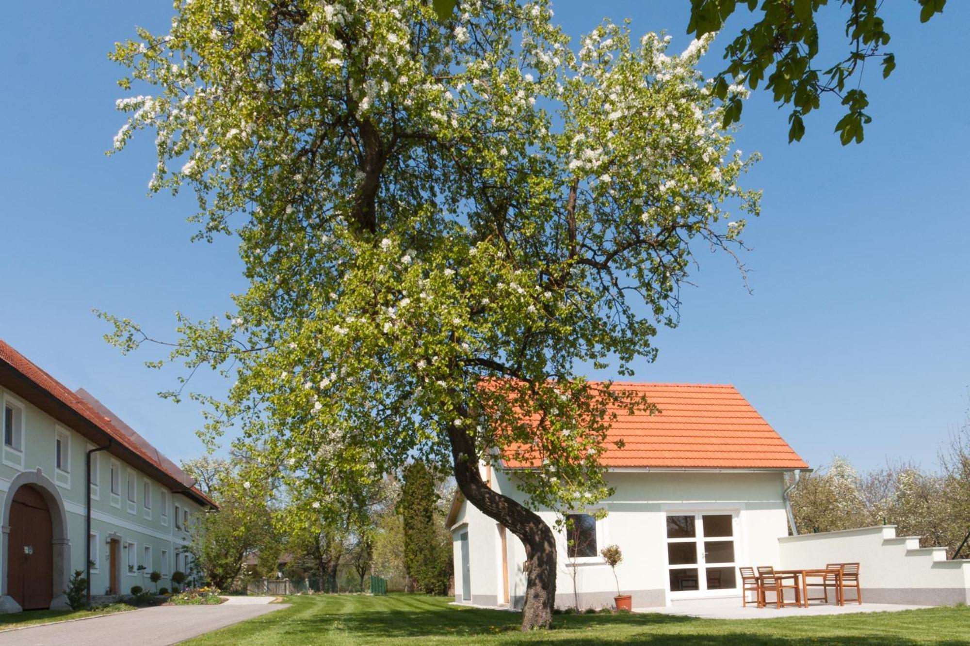 Landhaus Essl Dietach Εξωτερικό φωτογραφία